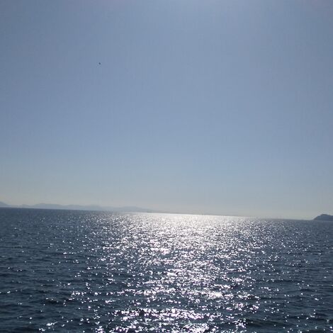 竹島の海