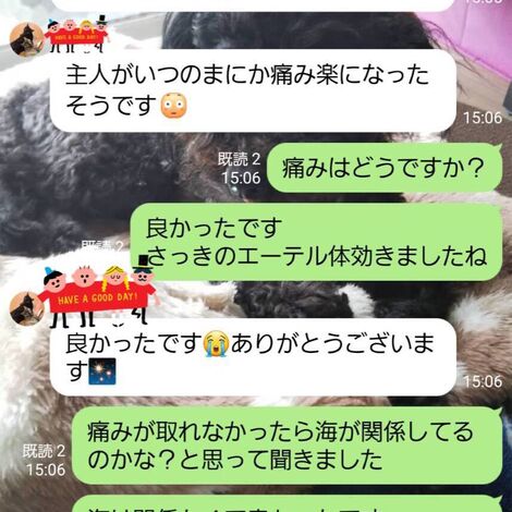 1606380728444