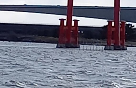 浜名湖舘山寺に行きました。帰りに弁天島で弁財天様に商売繁盛のお願いをしてきました❘気功施術や占いで半田市のお客様を癒す石鎚大日聖不動院